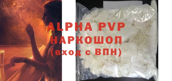 прущие грибы Осинники
