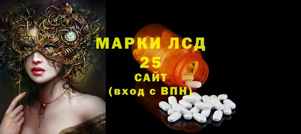 спайс Няндома