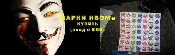 прущие грибы Осинники