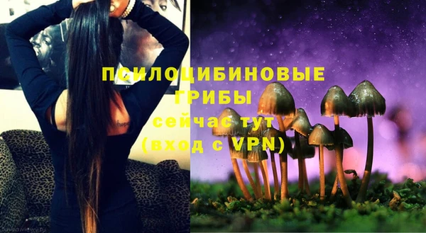ПСИЛОЦИБИНОВЫЕ ГРИБЫ Нязепетровск