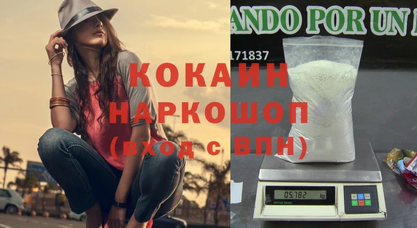 спайс Няндома