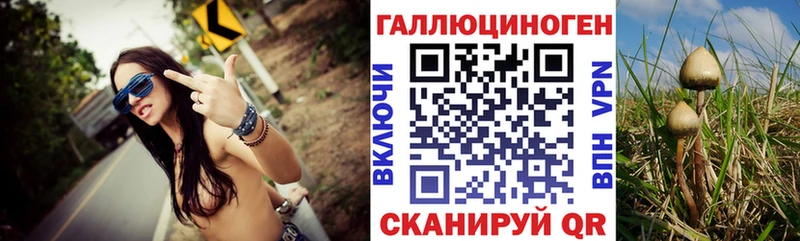 гидра ССЫЛКА  как найти   Шахты  Галлюциногенные грибы прущие грибы 