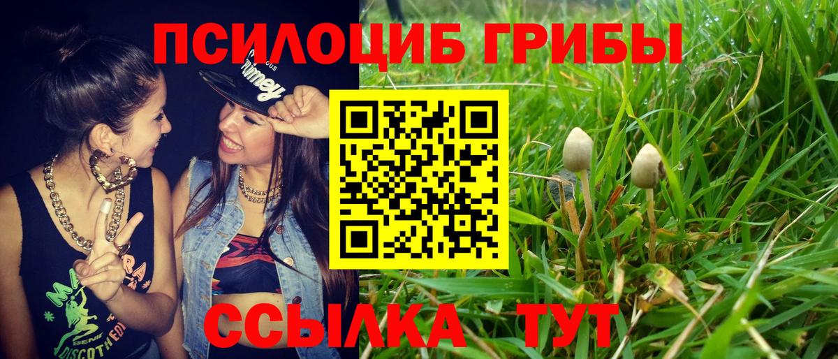 Псилоцибиновые грибы ЛСД  Вход с VPN  Шахты 