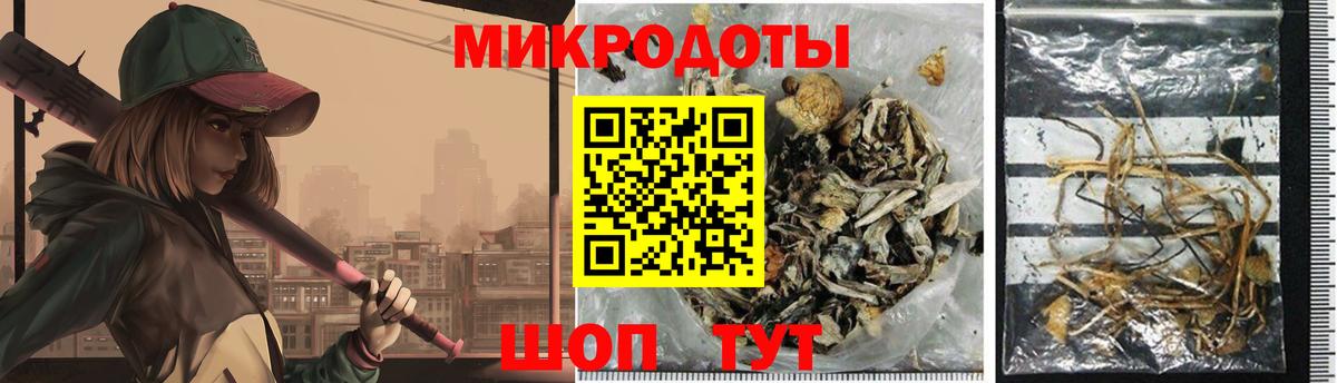 Псилоцибиновые грибы Cubensis Шахты