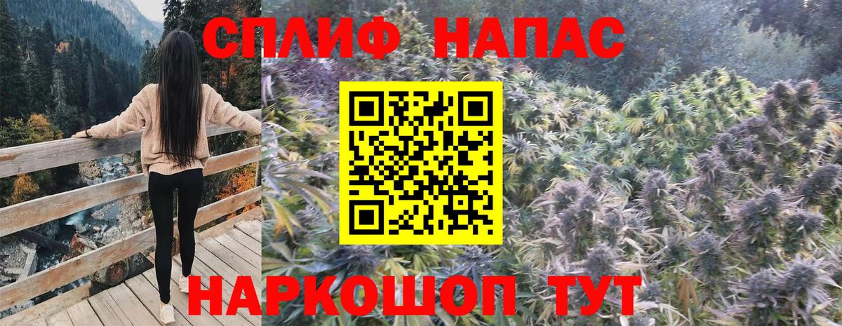 Марихуана планчик  Вход с VPN  Шахты  Бошки марихуана план 